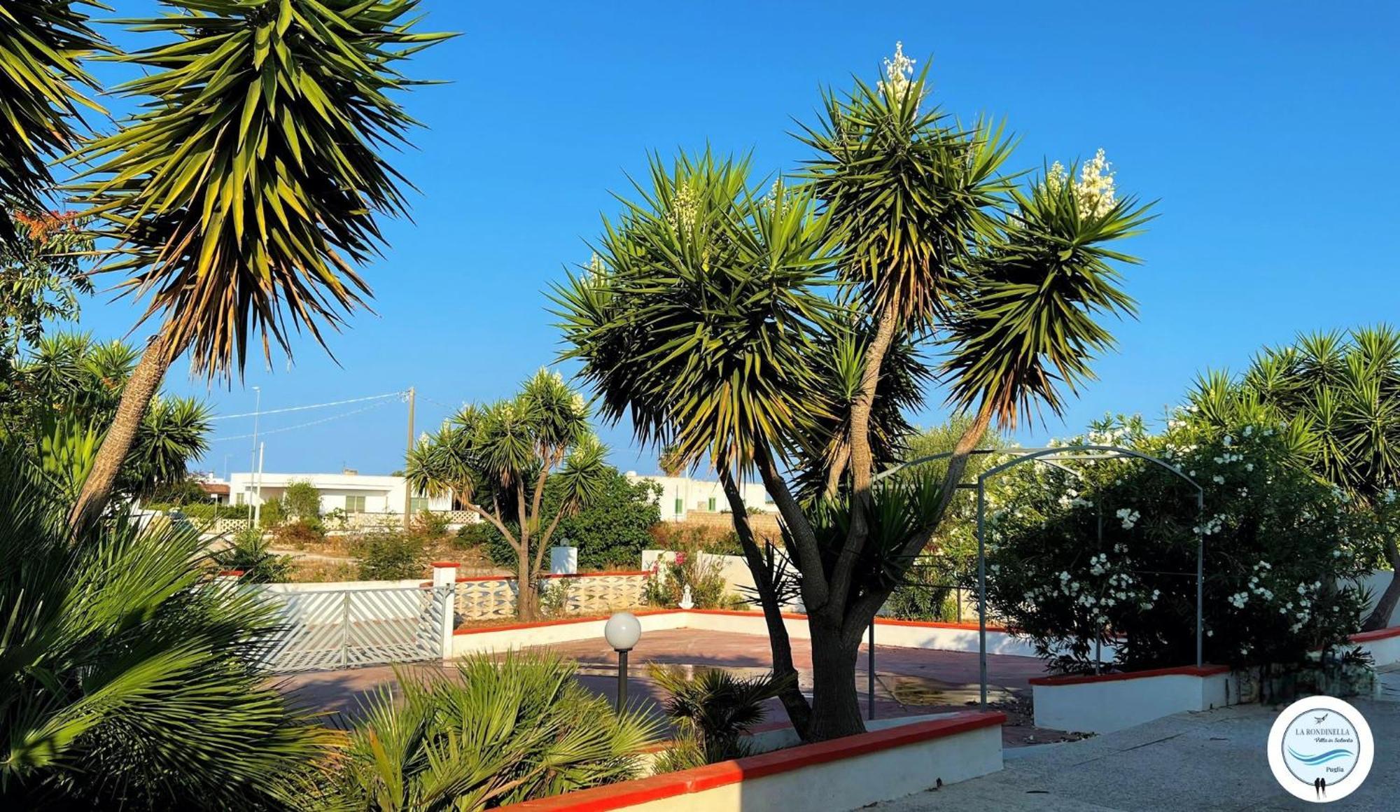 Villa La Rondinella - Torre San Giovanni Экстерьер фото